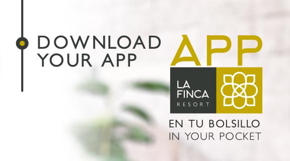 Descargar app