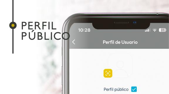 Perfil público